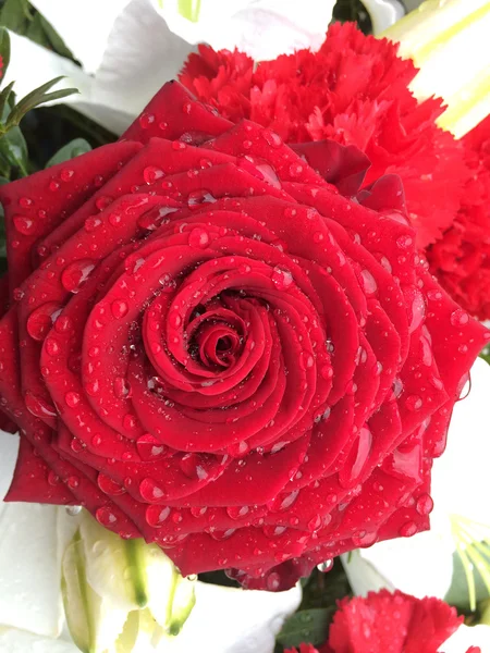 Güzel çiçek haraç