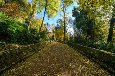 Cuesta de Gomerez sonbaharda bu yol sizi Alhambra kompleksine götürür.