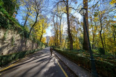 Granada, İspanya, 13 Aralık 2020. Cuesta de Gomerez sonbaharda bu yol sizi Alhambra kompleksine götürür..