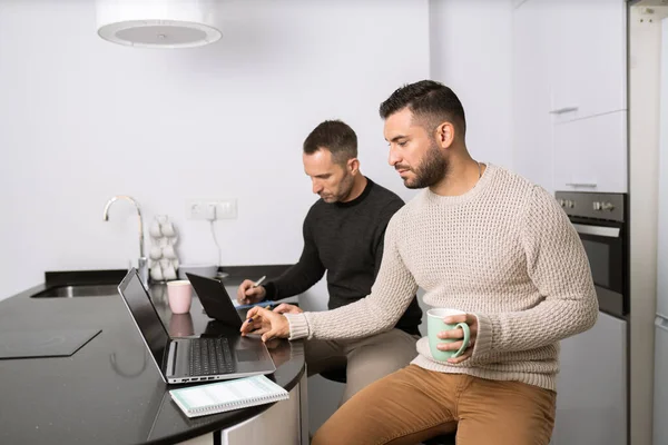 Pareja gay trabajando juntos en casa con sus computadoras portátiles. —  Fotos de Stock