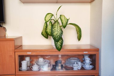 Eski ahşap dolap, çeşitli bitki çeşitleri, istiflenmiş tabaklar, fincanlar ve çaydanlıklar, sıcak ahşap tonlar ve yumuşak pencere ışığı, yerli nostalji.