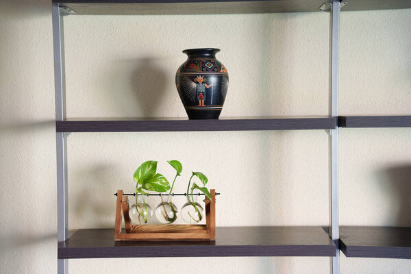 Propagation shelf with pothos cuttings in glass tubes on wooden holder, dark painted ceramic vase on upper shelf, textured wall backdrop, soft directional light