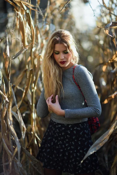 Blondýnka mladá žena v kukuřičném poli nosí svetr a sukně — Stock fotografie