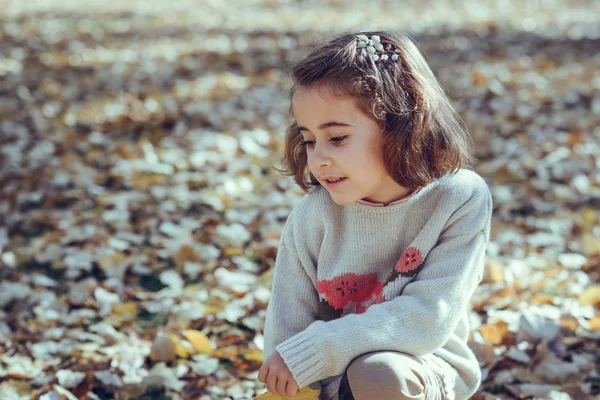 Маленькая девочка играет в городском парке осенью — стоковое фото