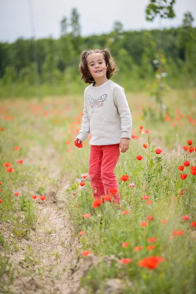 可爱的小女孩，在罂粟的领域有乐趣 — 图库照片