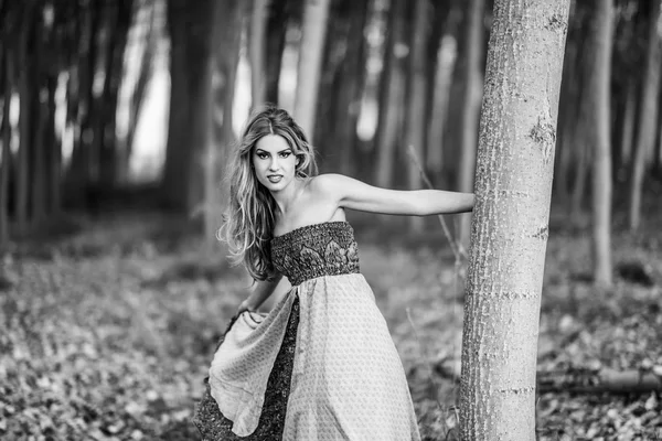 Блондинка в винтажном платье в тополевом лесу — стоковое фото