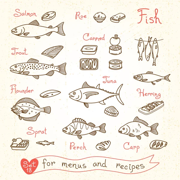 Definir desenhos de peixes para menus de design, receitas e embalagem. Truta, arenque, espadilha, linguado, poleiro, carpa, atum, salmão, ovas, enlatado  . —  Vetores de Stock