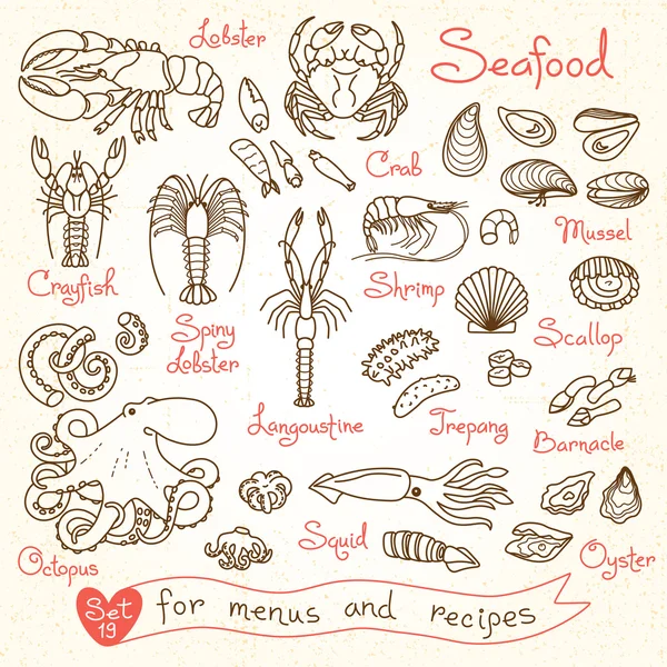 Definir desenhos de frutos do mar para menus de design, receitas, embalagens e publicidade. Camarão, caranguejo, mexilhões, lula, polvo, lagosta, lagostim, vieiras, pepinos do mar, ostras, langoustine, barnacle . —  Vetores de Stock