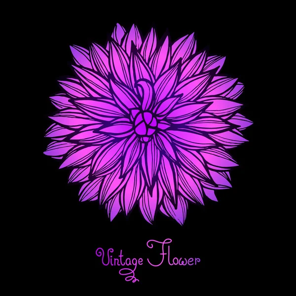 Luminoso fiore Dahlia isolato per il design . — Vettoriale Stock
