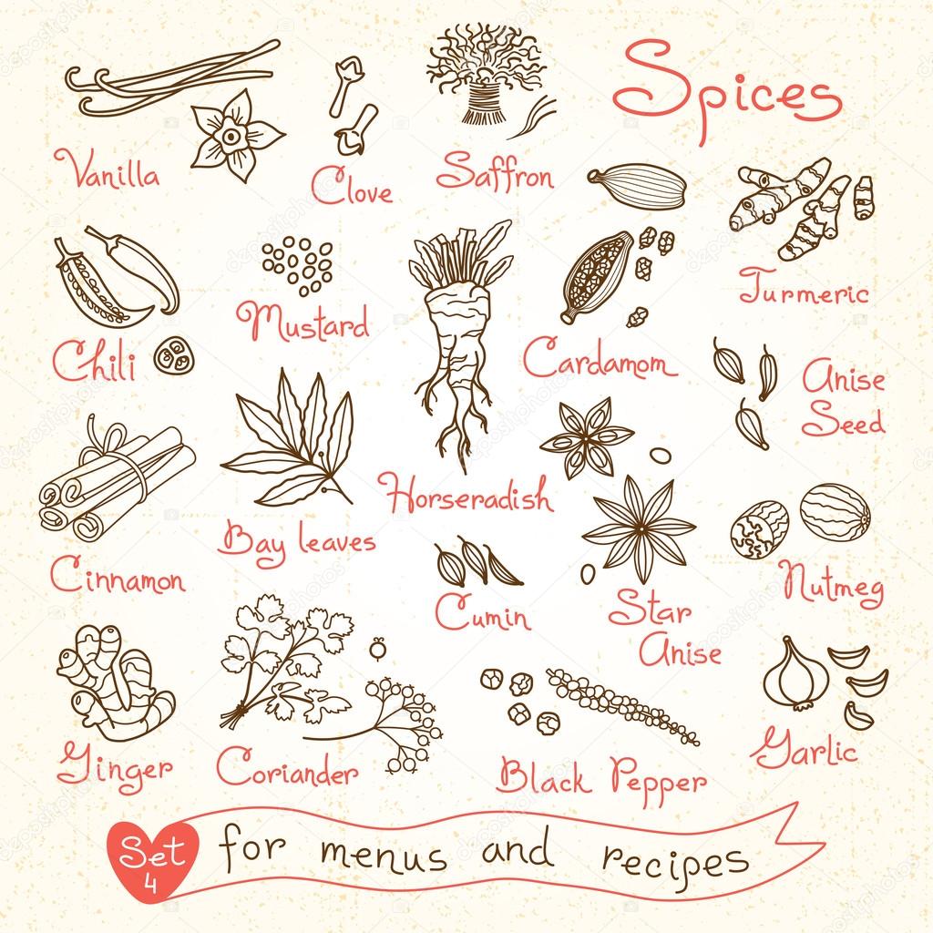 Set drawings of spices for design menus, recipes and packages product