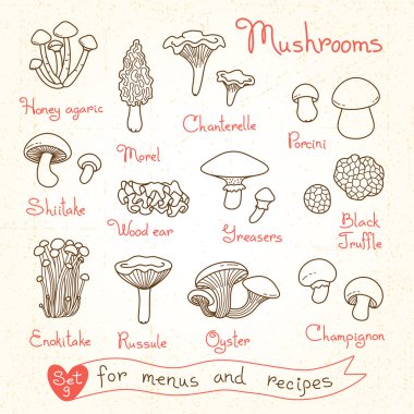 Set drawings of mushrooms for design menus, recipes and packages product. clipart