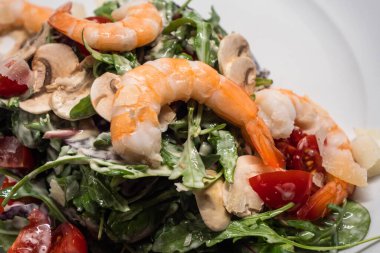 Arugula ya da karides, karides, domates, düğme mantarlı roket salatası, beyaz tabakta servis edilir.