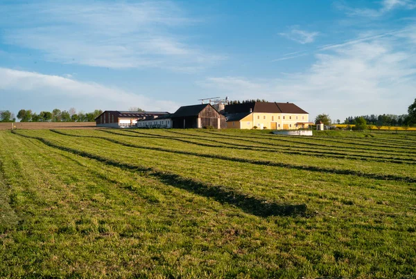 Vierkanter Farmhouse Στο Mostviertel Must Quarter Περιφέρεια Της Κάτω Αυστρίας — Φωτογραφία Αρχείου