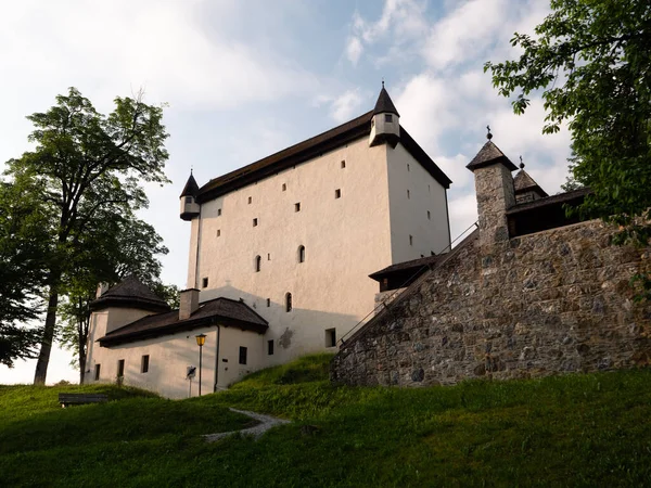 Castello Schloss Goldegg Nella Regione Pongau Salisburgo Austria Una Mattina — Foto Stock