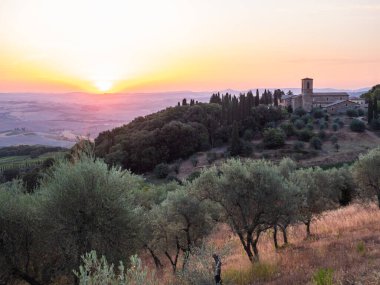 Montalcino yakınlarındaki Tuscany 'deki Convento dell' Osservanza, İtalya 'da Zeytin Ağaçları' nda gündoğumu manzarası