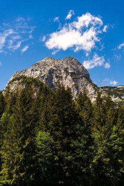 Alplerdeki Bavyera 'nın panoramik alanındaki dağların güzel manzarası 