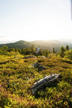 Hindistan yaz renklerine sahip kırsal dağ manzarası