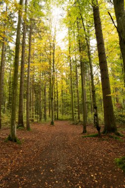 Hindistan yaz renklerine sahip kırsal dağ manzarası