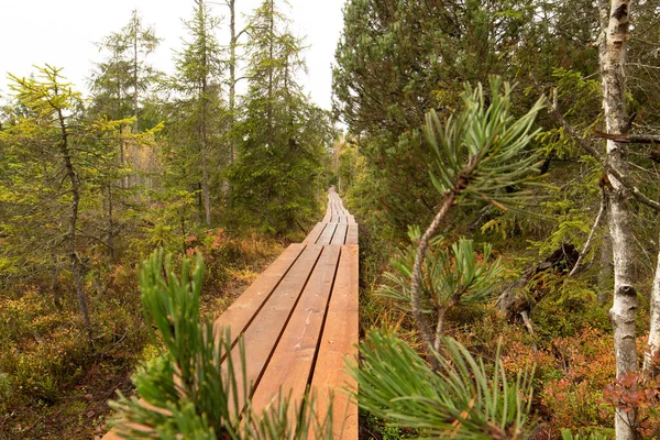 Widok Drewnianą Drogę Krajobraz Górski Wsi Indyjskich Kolorach Letnich — Zdjęcie stockowe