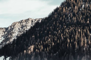 Alplerdeki dağlar aralık aylarında kışın karla kaplanır.