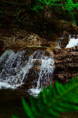 Ormanda güzel bir şelale