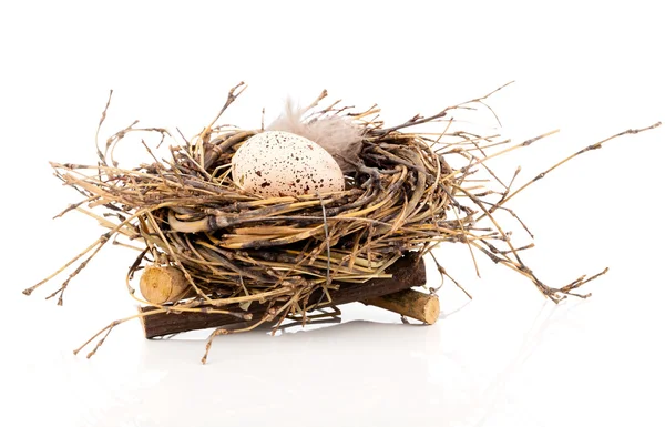 Easter egg in birds nest isolated on white background — Stock Photo, Image