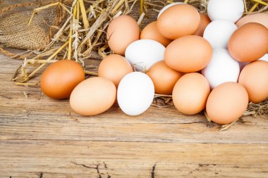 Eggs on wooden background clipart