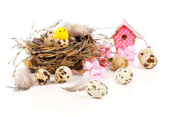 Decoração Páscoa em fundo branco com ovos de codorna e com b — Fotografia de Stock