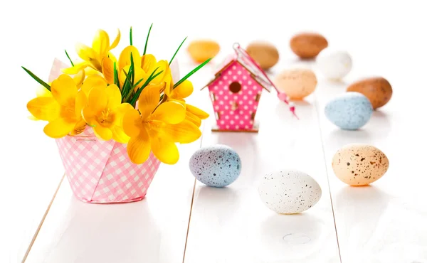 Fiori di croco su sfondo bianco in legno, decorazione primaverile arguzia — Foto Stock