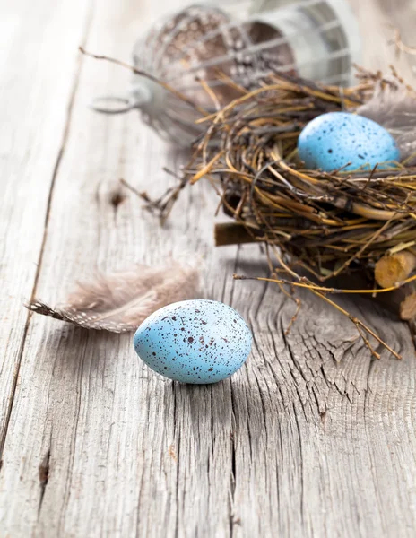 Eggs in nest on wooden background — Stock Photo, Image