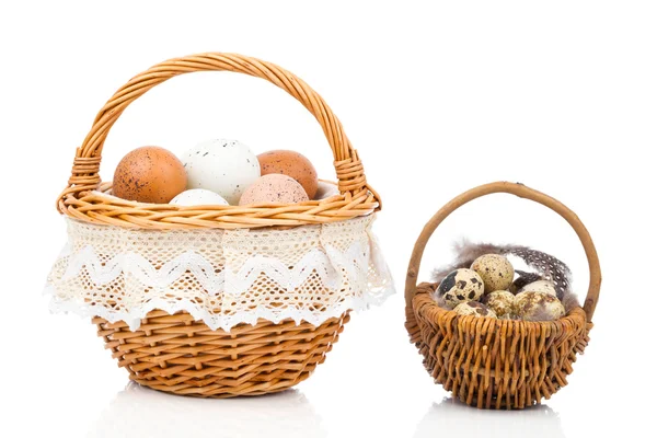 Huevos de gallina y huevos de codorniz en cesta, sobre fondo blanco —  Fotos de Stock