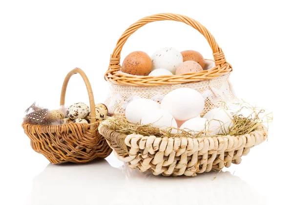 Ovos de galinha e ovos de codorna em cesta, sobre fundo branco — Fotografia de Stock