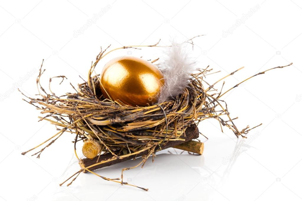 Golden egg in nest on white background