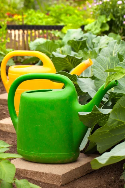 Vattenkanna för vattning i trädgården — Stockfoto