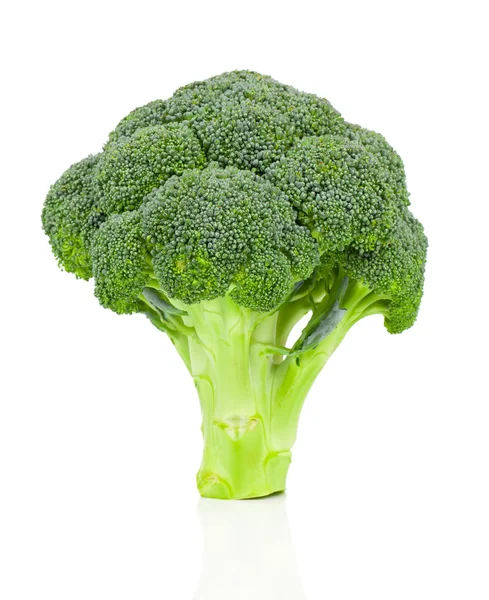 Broccoli isolated on white background — Stock Photo, Image