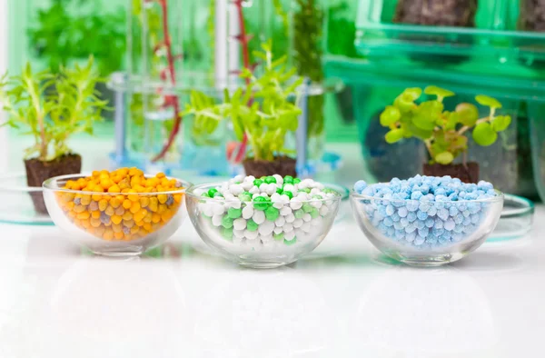 Diferentes fertilizantes minerales en una taza de vidrio químico, en el wh — Foto de Stock