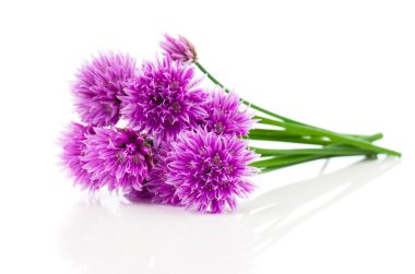 bunch Flowering onions isolated on white background clipart