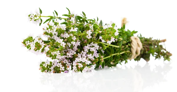 Thyme isolated on white background. — Stock Photo, Image