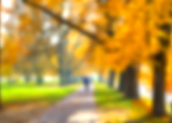 Abstrakte Unschärfe Stadtpark Bokeh Hintergrund — Stockfoto