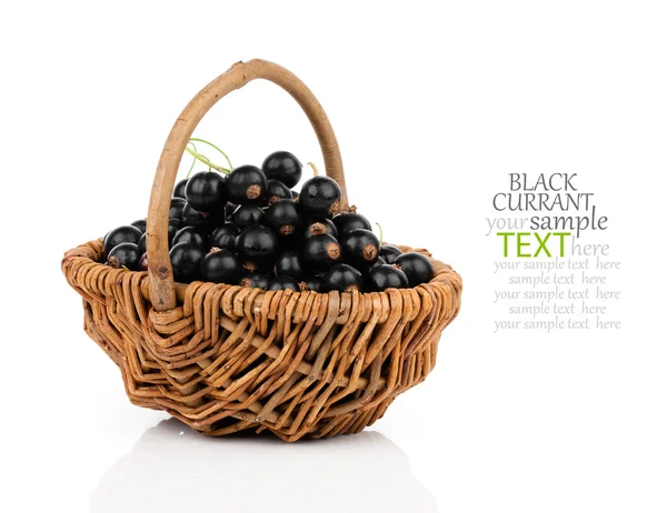Beyaz üzerine Siyah frenk üzümü meyve sepeti — Stok fotoğraf