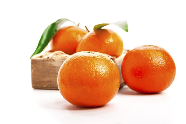 Mandarinas maduras, tangerinas com folhas sobre um fundo branco . — Fotografia de Stock