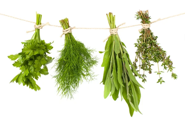 Fresh herbs hanging on a rope, isolated on white background — Stock Photo, Image