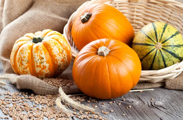 Pumpkins on wooden board — Stock Photo, Image