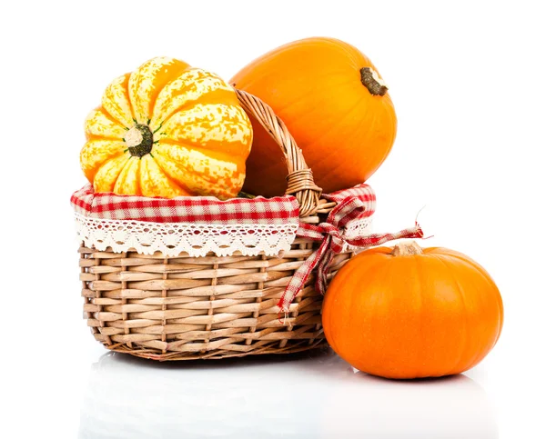 Calabaza fresca sobre blanco —  Fotos de Stock