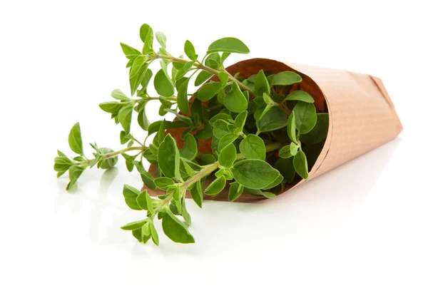 Frische Kräuter Oregano isoliert auf weißem Hintergrund — Stockfoto