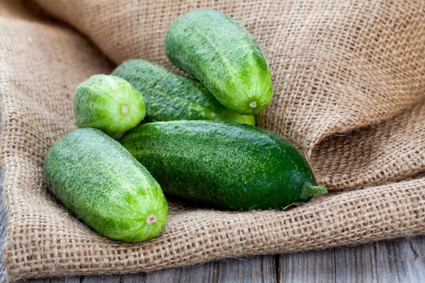 Cucumbers on the wooden background — Stock Photo, Image