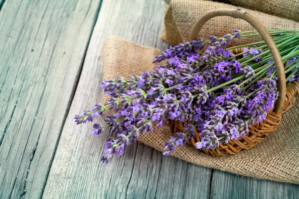 Flores de lavanda en una cesta con arpillera en el fondo de madera Imágenes de stock libres de derechos