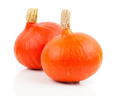 beyaz zemin üzerine sarı 