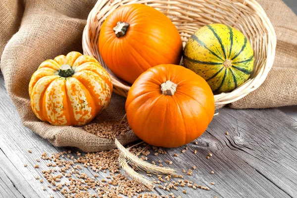 Najaar pompoenen op houten bord — Stockfoto