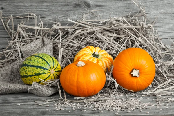 Calabazas de otoño sobre tabla de madera, paja —  Fotos de Stock